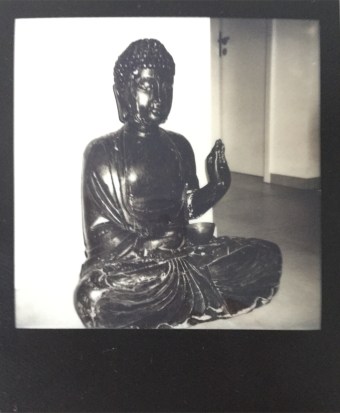 Buddha, fresh picture!
