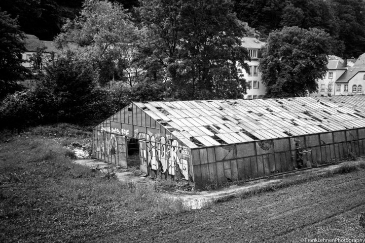 160603 - Fomapan 100 - Olympus XA2 - 038