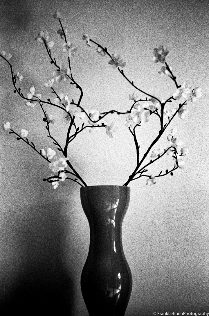 160722 - Fomapan 400 - Leica IIIa - 023