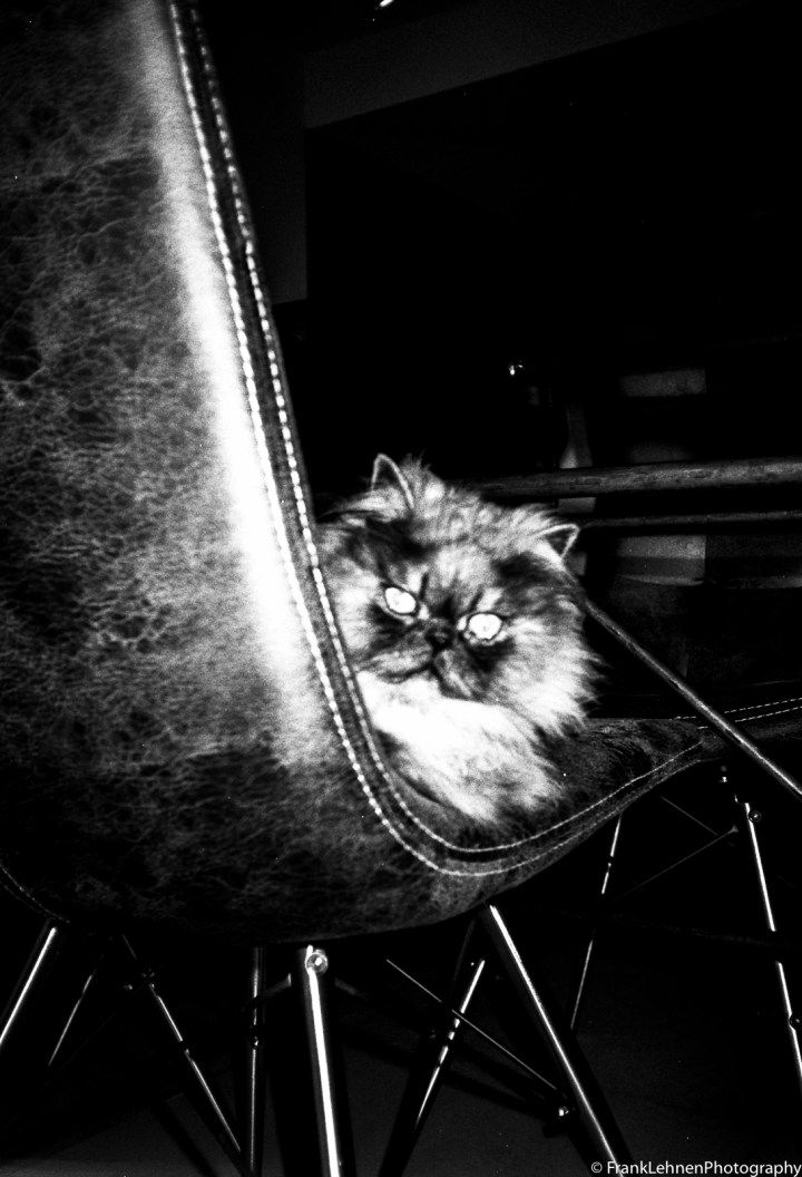 160730 - Superia 200 - Canon SureShot AF7 - 015