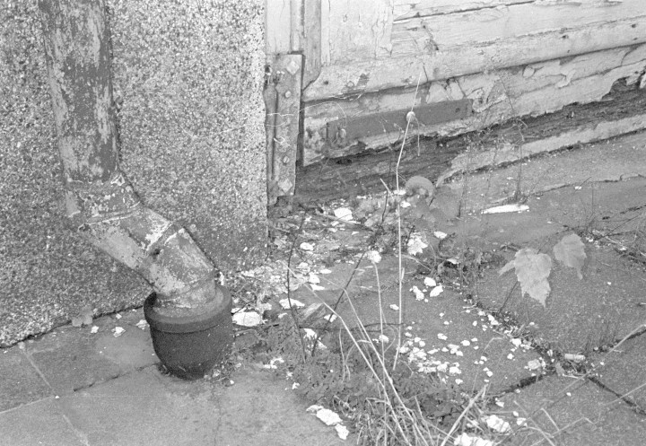 161127-ilford-hp5-contax-t-vs-009