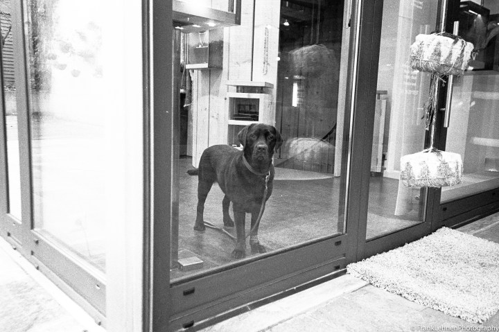 161206-ricoh-gr1-ilford-hp5-12