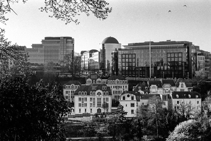 160520-kodak-tri-x-canon-a-1-003