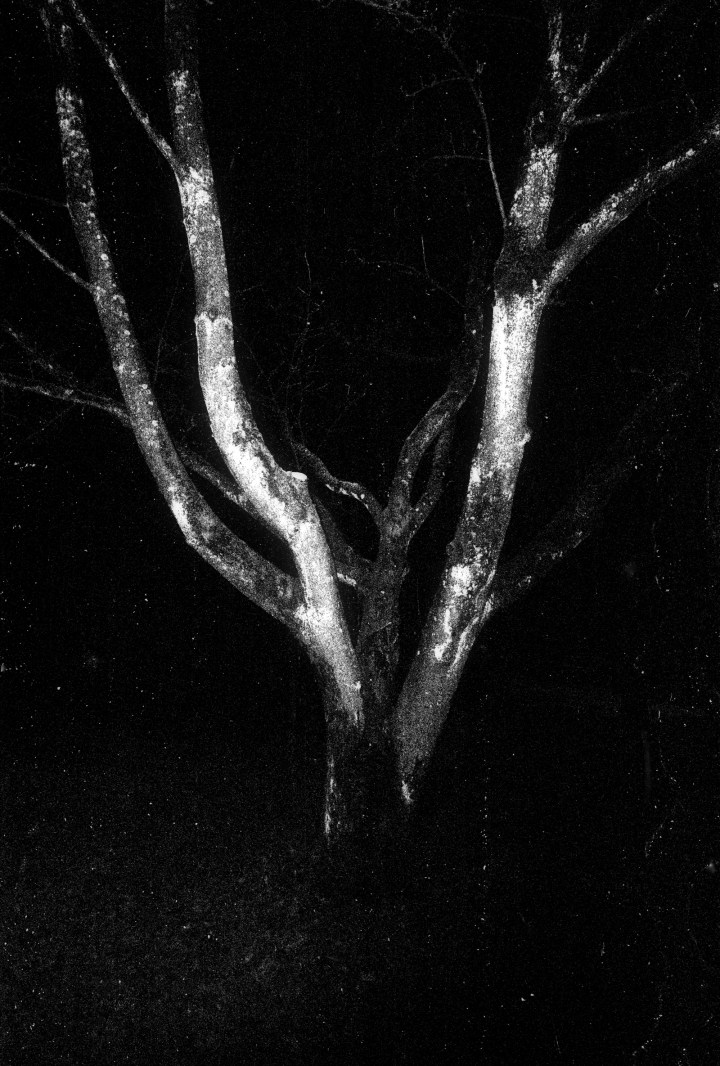 170101-ricoh-gr1-ilford-hp5-008