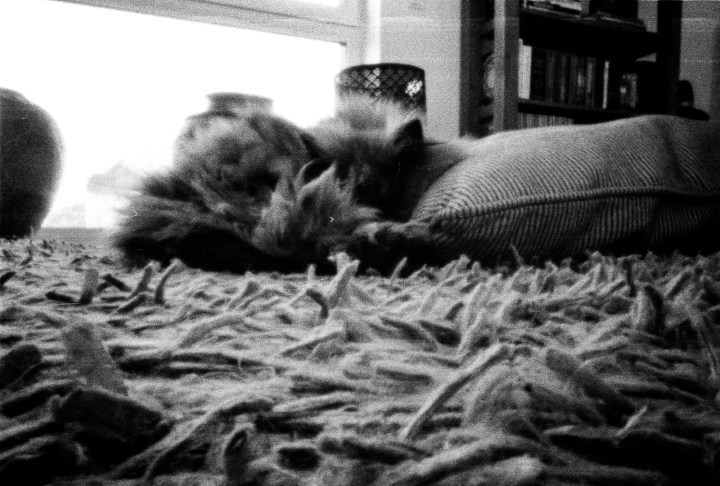 170125-leica-iiia-pinhole-ilford-hp5-011