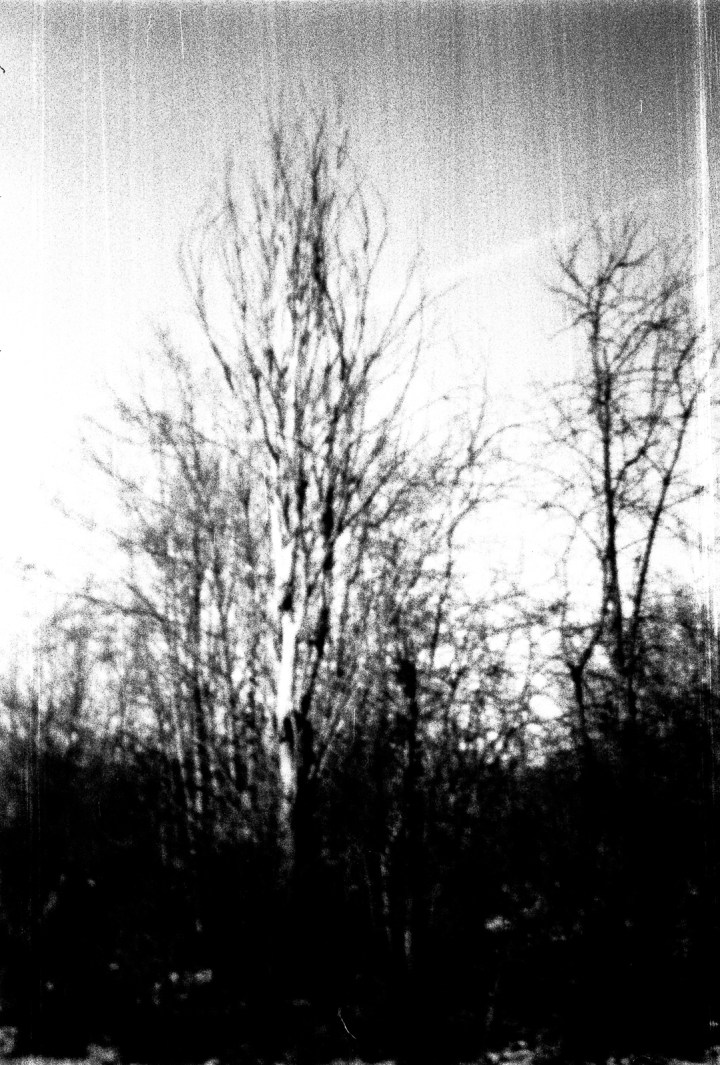 170125-leica-iiia-pinhole-ilford-hp5-025