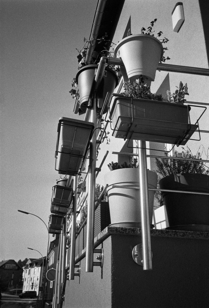 170125-olympus-xa2-ilford-hp5-14