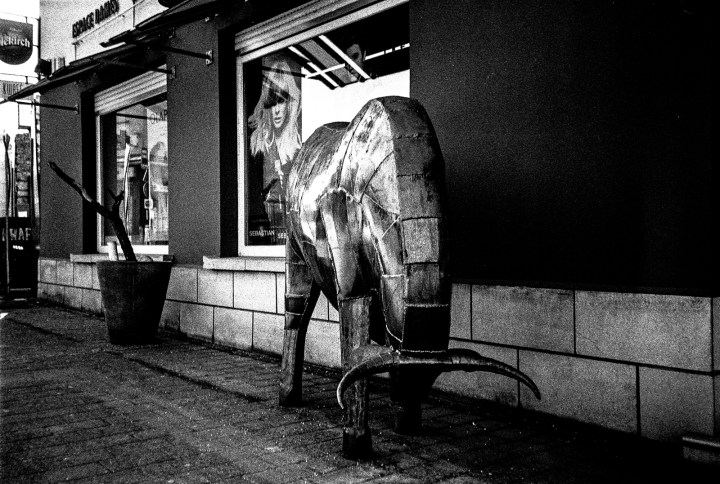 170125-olympus-xa2-ilford-hp5-15