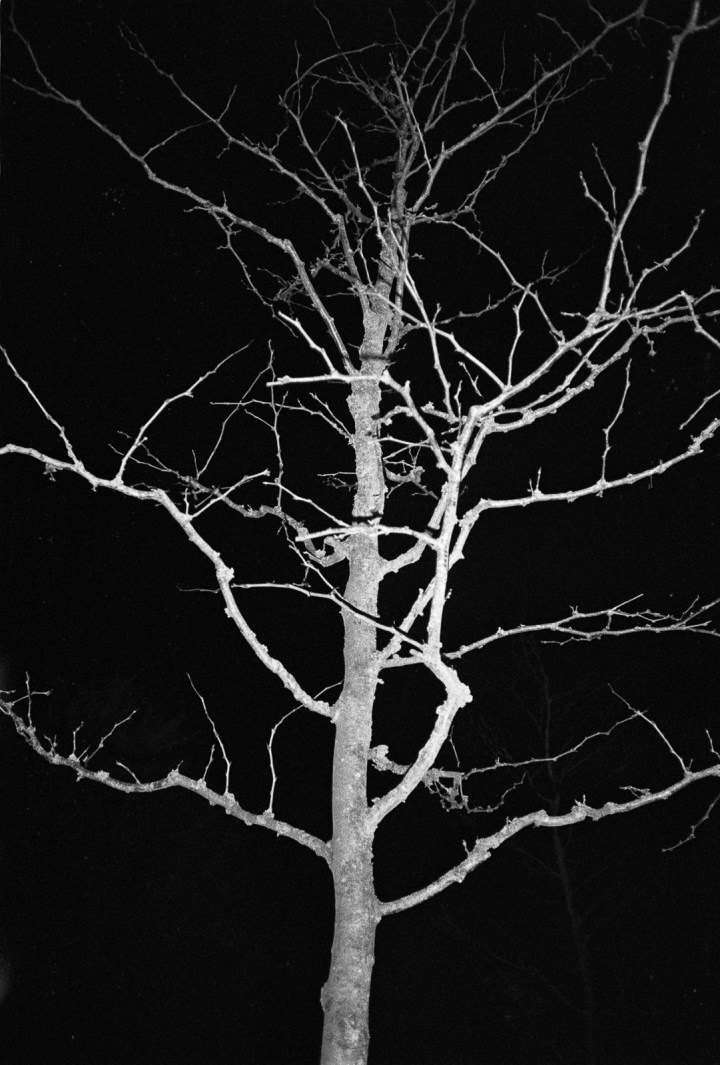 170125-olympus-xa2-ilford-hp5-3