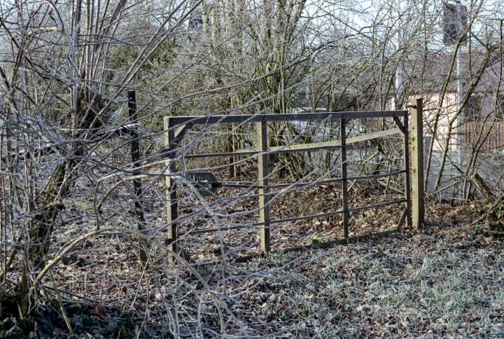 170224-canon-a-1-fuji-superia-200-015