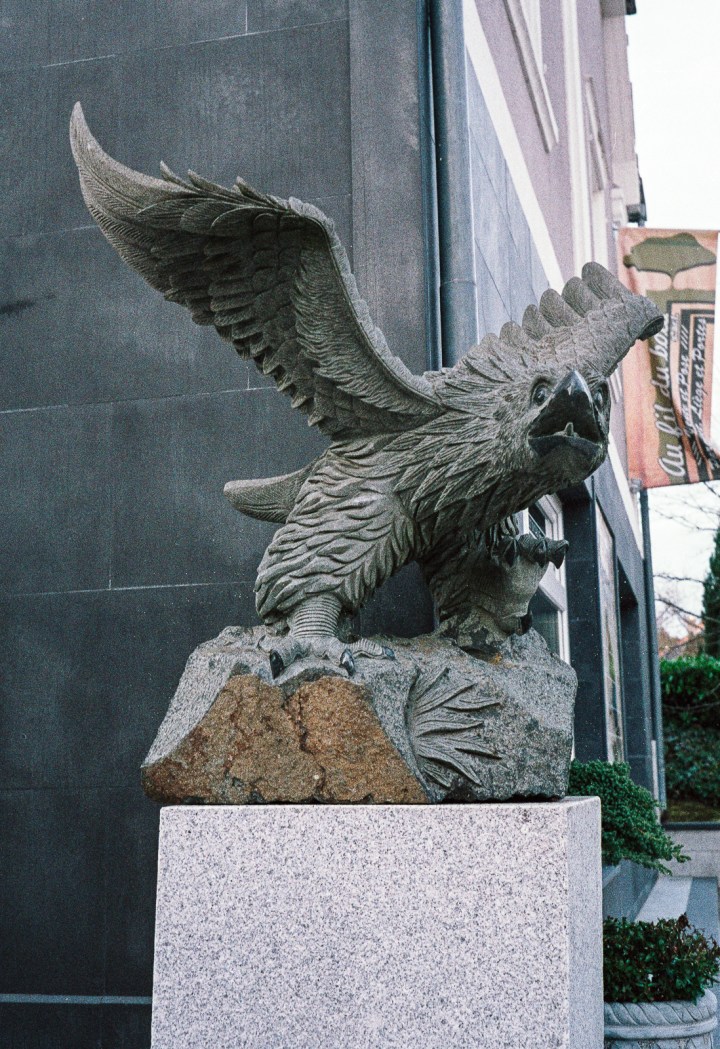 170314 - Olympus Trip 35 - Fuji Superia 200 (11)