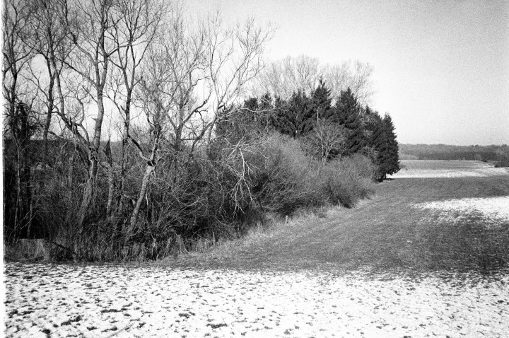 170125 - Olympus XA2 - Ilford HP5 (34)