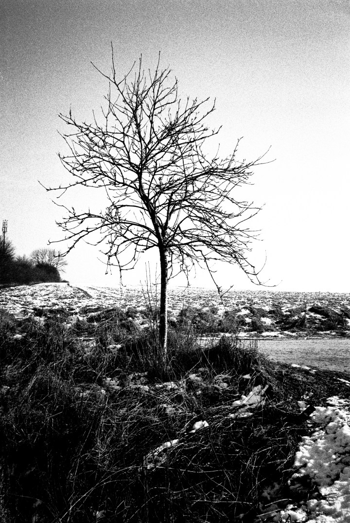 170125 - Olympus XA2 - Ilford HP5 (35)