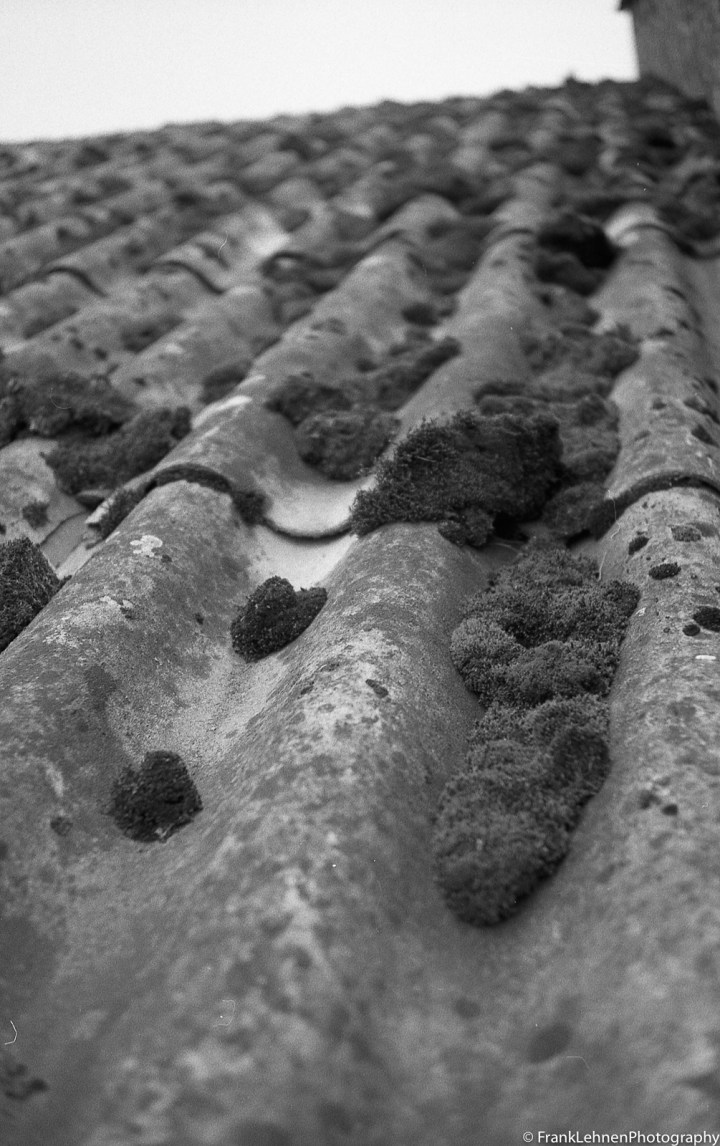 130105 - Canonet 28-2