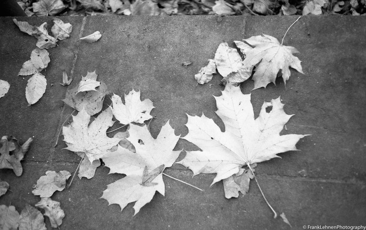 130105 - Canonet 28-21