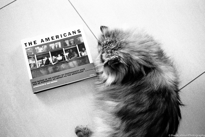 170428 - Olympus Trip 35 - Ilford HP5 (31)