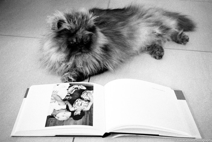 170428 - Olympus Trip 35 - Ilford HP5 (32)