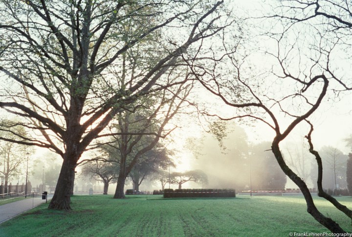 170520 - Olympus Trip 35 - Fuji Superia 200 (20)