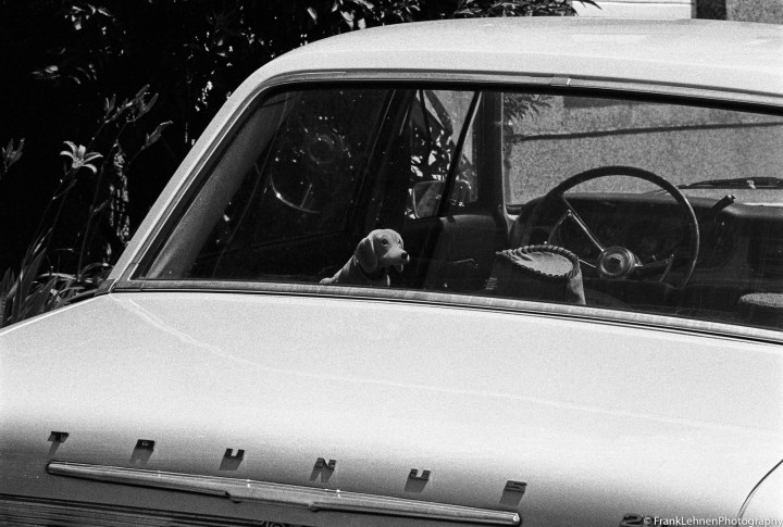 170615 - Canon AE-1 - Ilford HP5 (13)