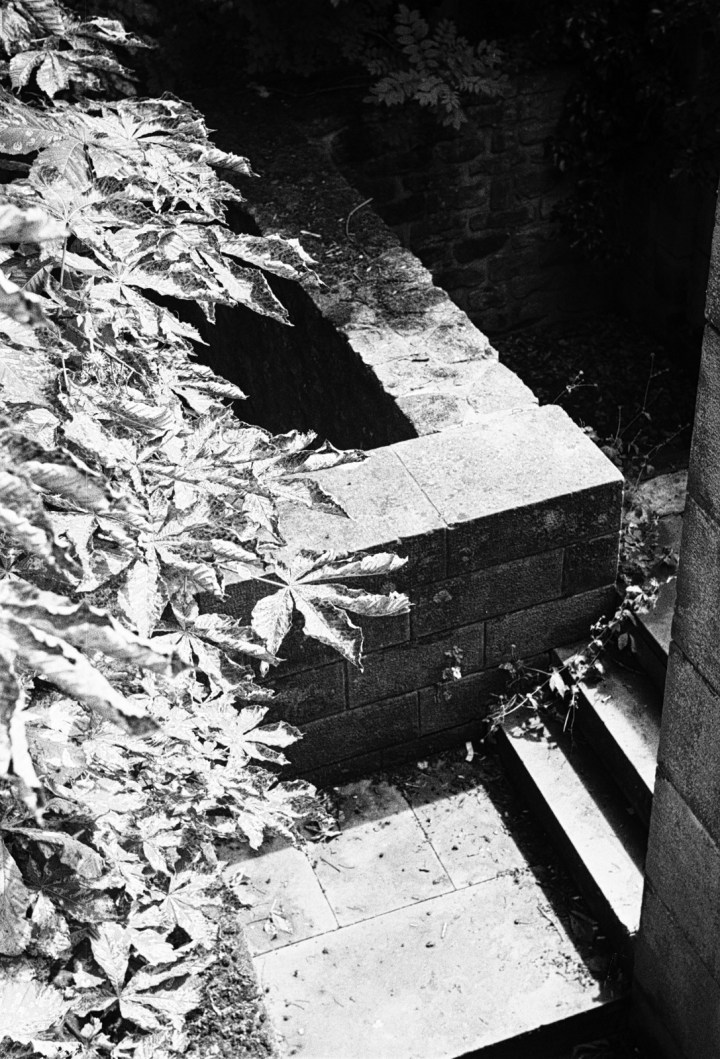 170628 - Leica IIIa - Kodak Tmax 400 (32)