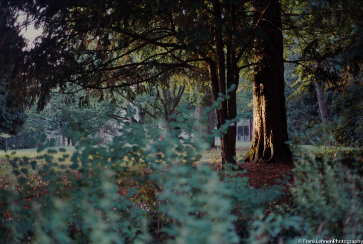 170722 - Canon AE-1 - Fuji Superia 200 (3).jpg