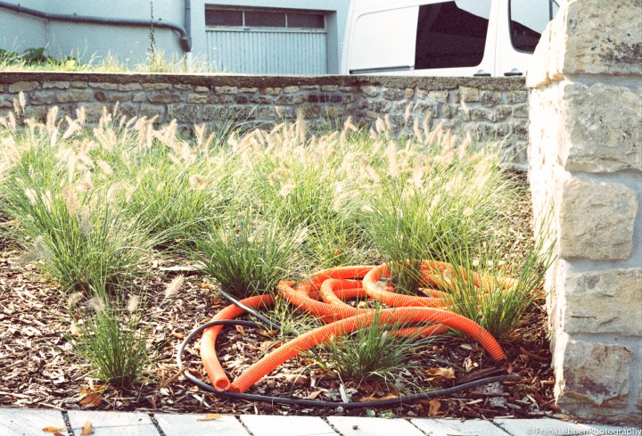 170826 - Canon EOS 650 - Kodak Farbwelt 200 (exp) (7)