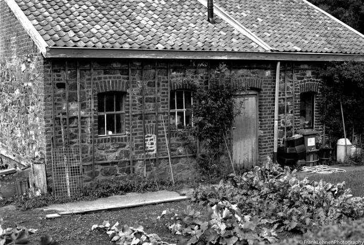 170821 - Canon T90 - Ferrania P30 Alpha (10)