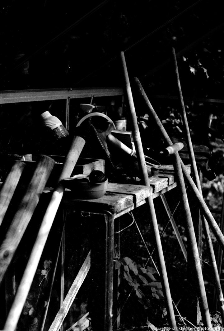 170821 - Canon T90 - Ferrania P30 Alpha (21)