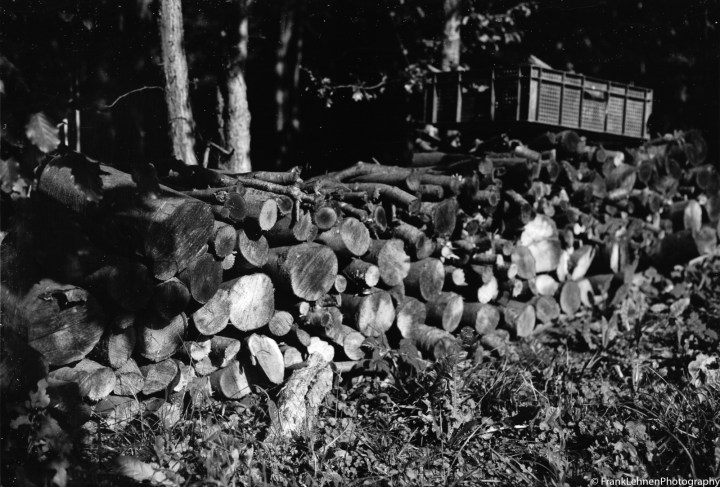 170821 - Canon T90 - Ferrania P30 Alpha (27)