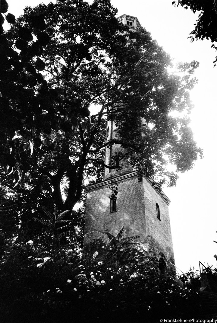 170901 - Olympus XA2 - Lomo Lady Grey (14)