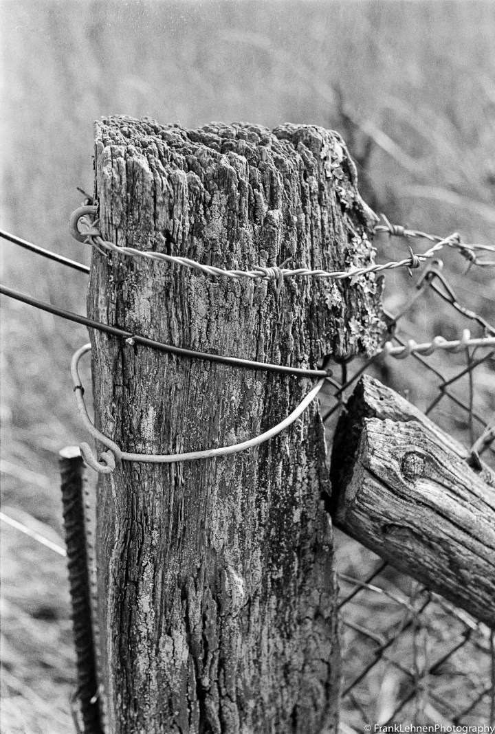 170923 - Praktica MTL5B -Lomography Lady Grey (24)