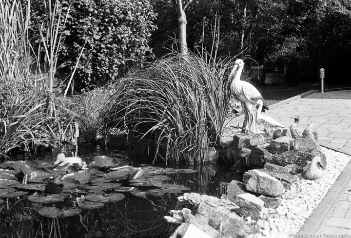 170923 - Praktica MTL5B -Lomography Lady Grey (9)