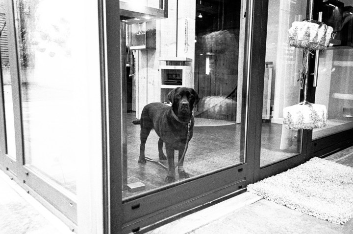 161206 - Ricoh GR1 - Ilford HP5+ - (12)