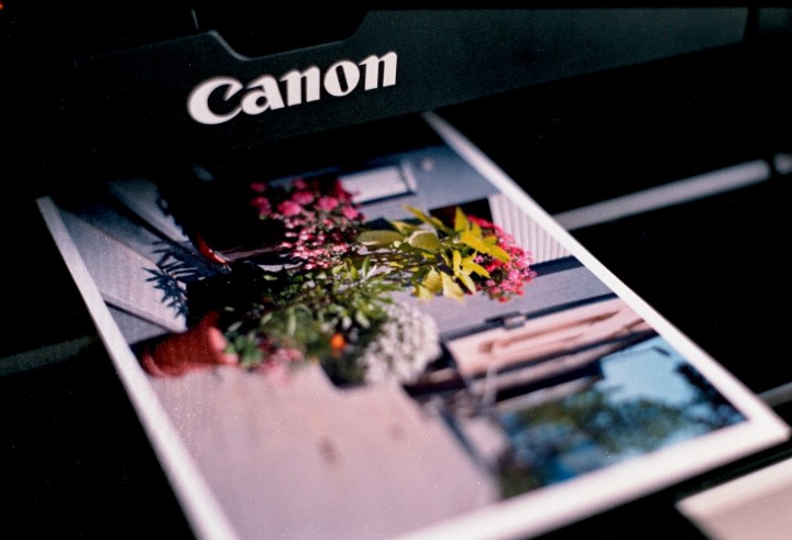 171115 - Praktica MTL5B - Fuj Superia 400 (11)