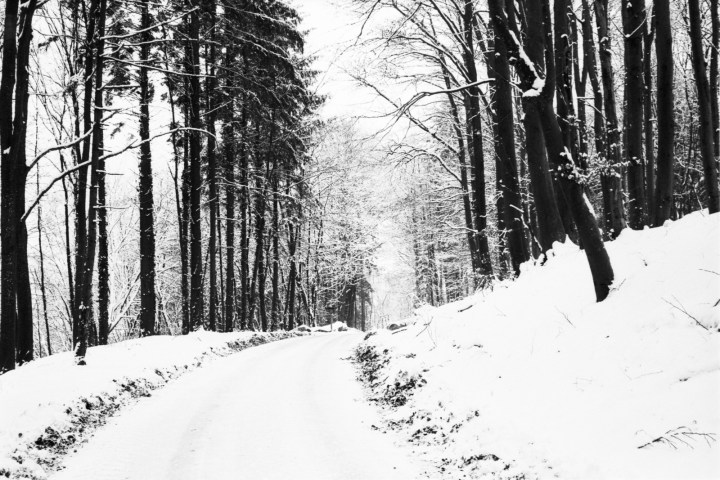 170201 - Olympus Trip 35 - Ilford FP4 Plus (24)