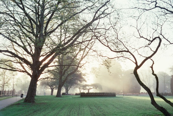 170520 - Olympus Trip 35 - Fuji Superia 200 (20)