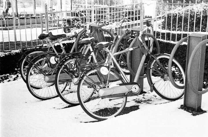 170106 - Leica IIIa - Ilford HP5 016