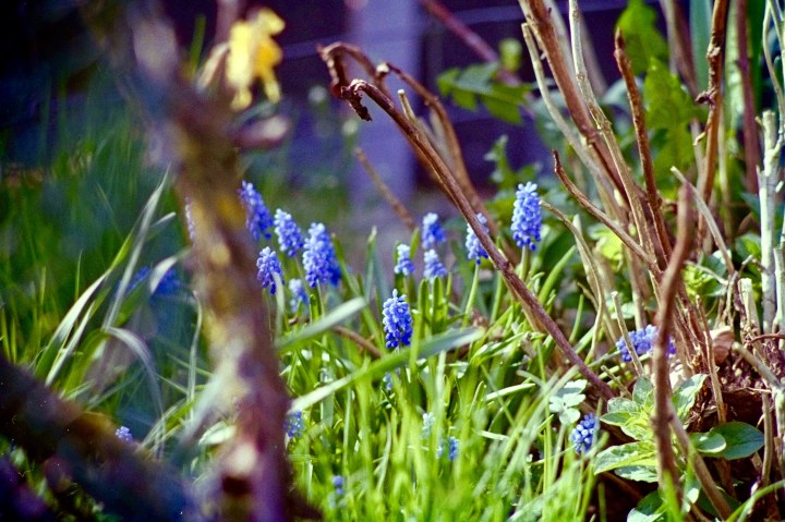 03409586-8722-4E46-86E8-D22E50B64019