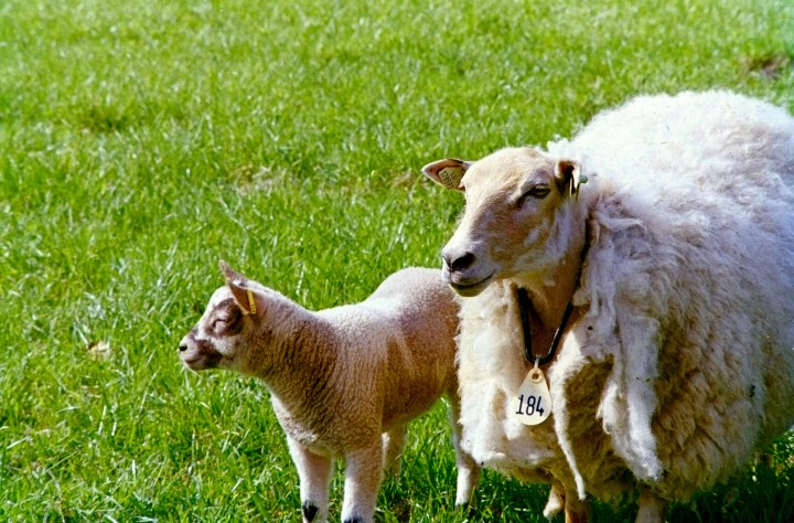 62FFEB78-36B1-4E1E-8A0B-0443F236C9B0