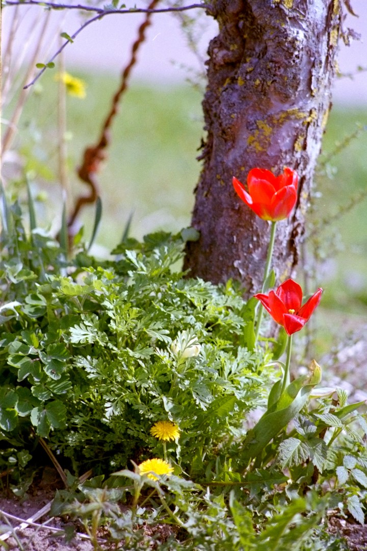 6F5F49FC-0471-4674-BBA1-F6854F0C8BDD