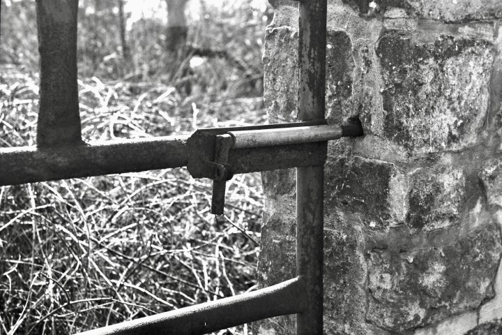 829B9F88-990B-4A65-B7BD-BAAE52E78CAF