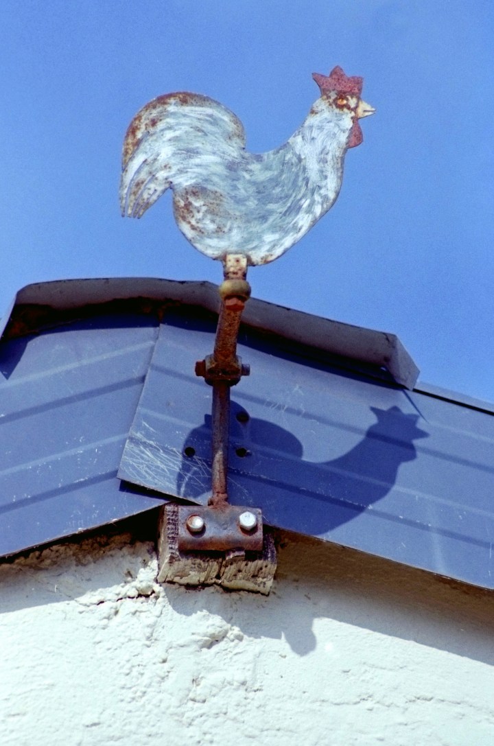 92CF5F90-F240-4147-9080-1C36ECE4E906