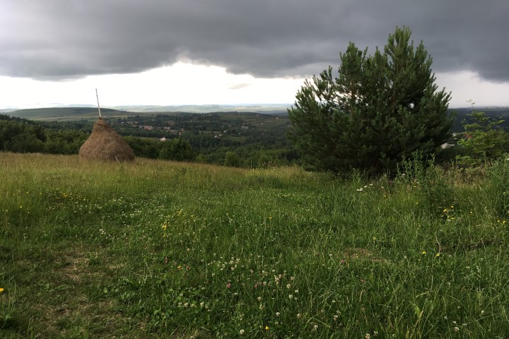 181358C0-BC6A-4D96-9F62-893EA94E36C9