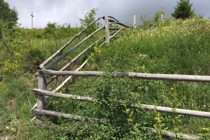 49970EF2-EEA2-433E-8A56-A4610783BC69