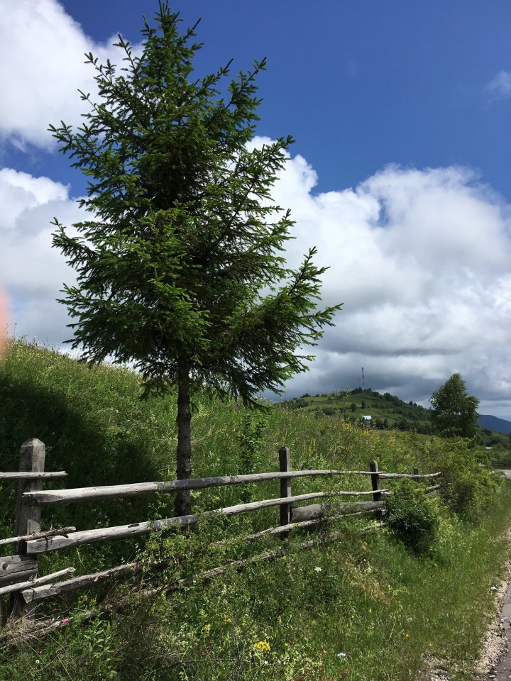 A7F7E5C5-1195-47DE-A589-F67AA6D0F2C2