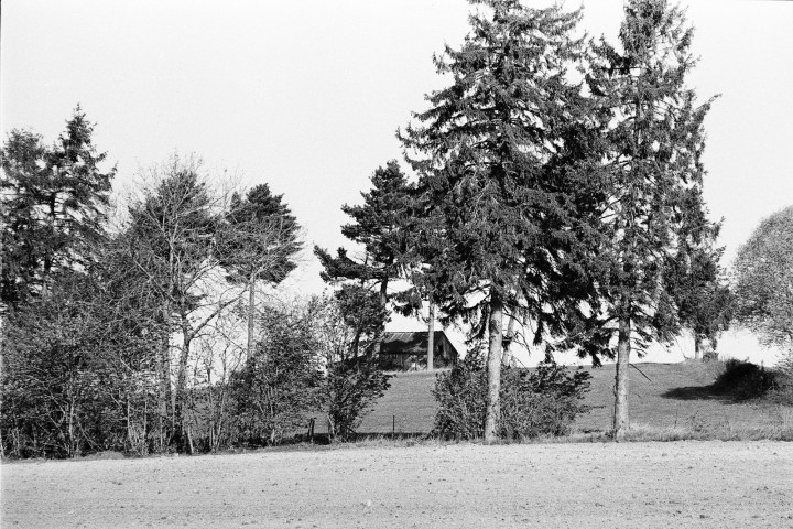 190502 - Pentax Spotmatic SP - Agfa APX 100 (11)_4