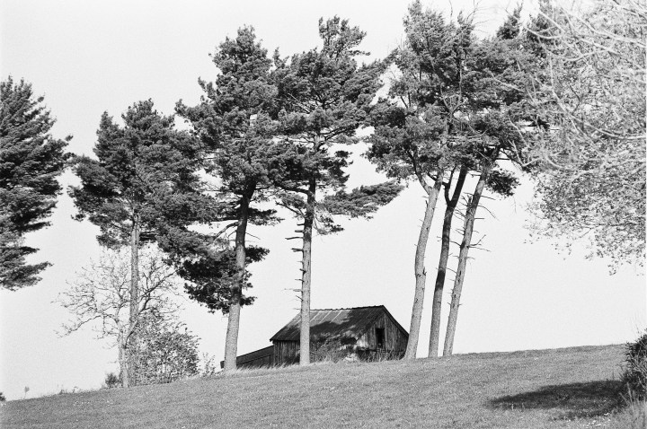 190502 - Pentax Spotmatic SP - Agfa APX 100 (22)