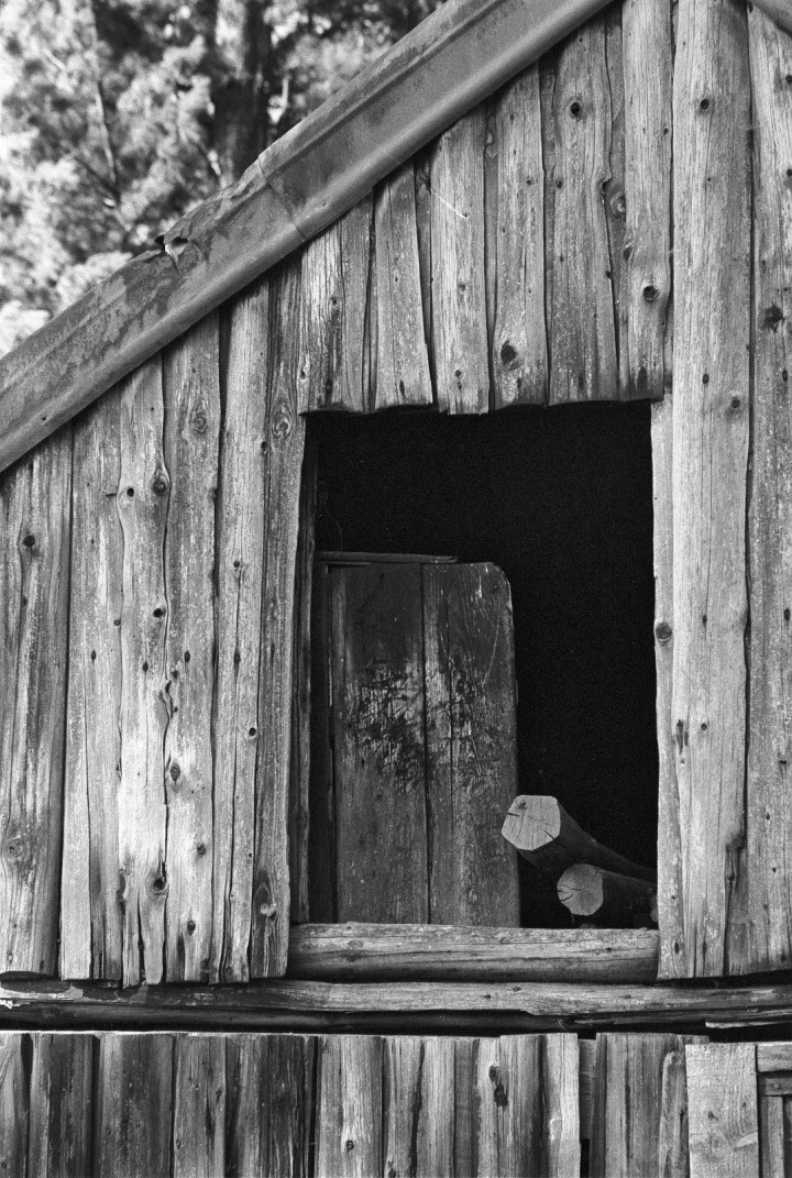 190502 - Pentax Spotmatic SP - Agfa APX 100 (27)_3