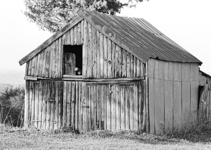 190502 - Pentax Spotmatic SP - Agfa APX 100 (3)