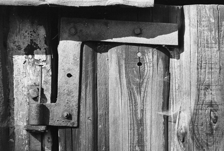 190502 - Pentax Spotmatic SP - Agfa APX 100 (30)